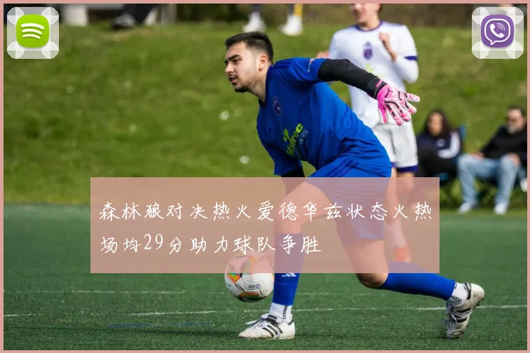 森林狼对决热火爱德华兹状态火热场均29分助力球队争胜
