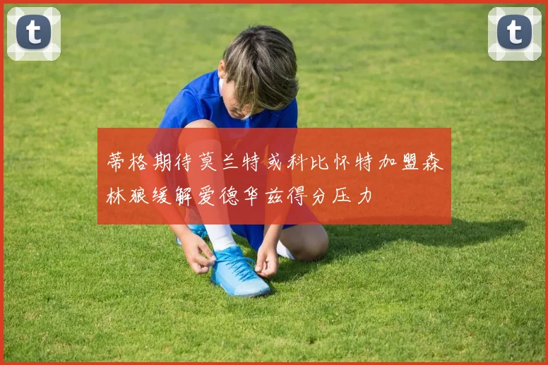 蒂格期待莫兰特或科比怀特加盟森林狼缓解爱德华兹得分压力