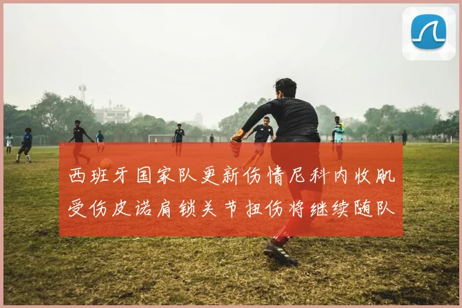 西班牙国家队更新伤情尼科内收肌受伤皮诺肩锁关节扭伤将继续随队训练